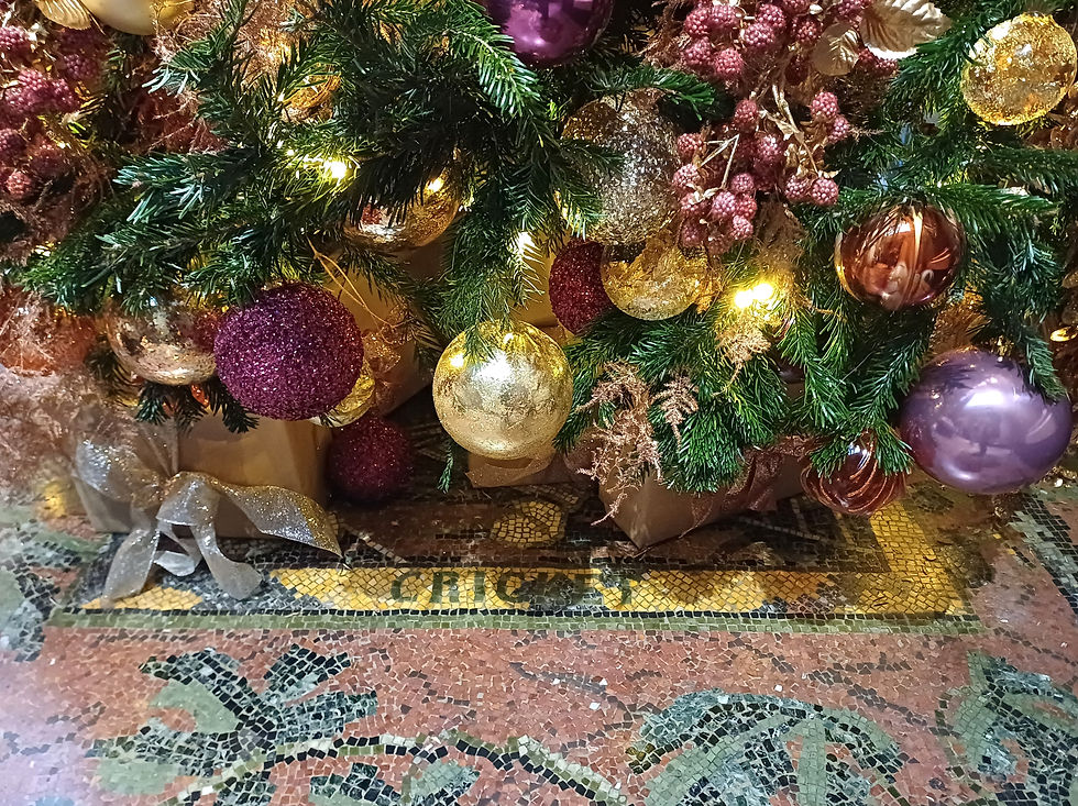 CRICKET, hidden under a Christmas tree