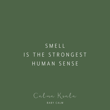 SMELL YOUR WAY TO CALM