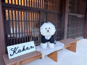 ウールレターの看板