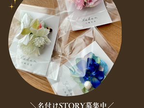 ペットの名付けSTORY募集中!ブローチプレゼント🎁2025/7/21まで