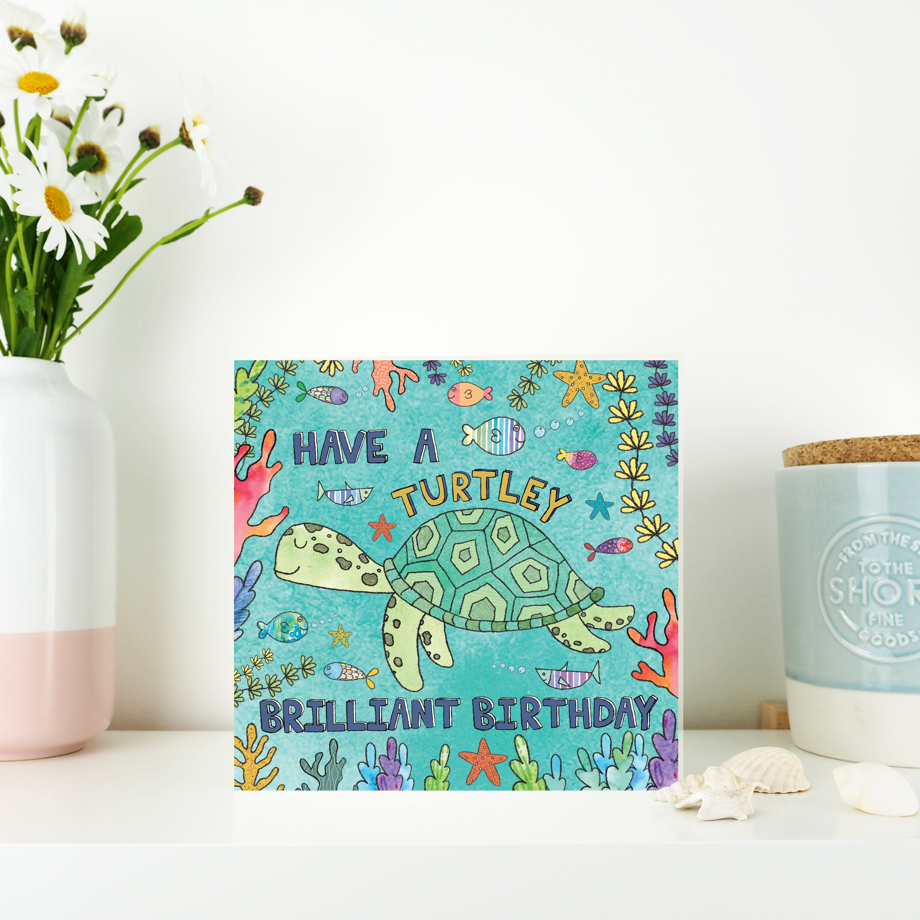 Have a Turtley Brilliant Birthday card