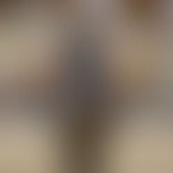 Ankum: Karlijn V. Zweite