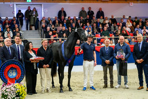 Vechta: FOR ROMANCE OLD stellt 2. Reservesieger