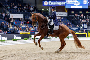 Stuttgart: Fifth place for DSP Sheldon Cooper