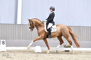 Münster-Handorf: Forte per me glänzt bei Sporttest