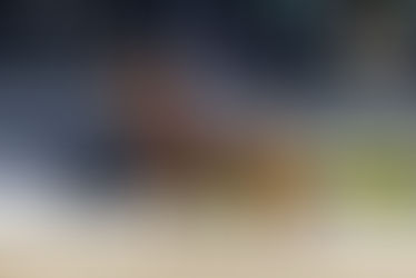 Stuttgart: DSP Sheldon Cooper second