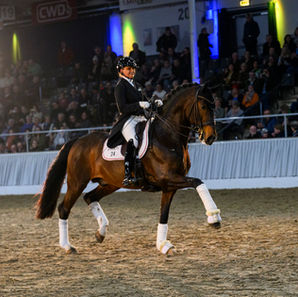 Verden: Segantini FRH begeistert