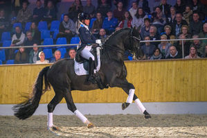 Vechta: Sons of For Romance and Dante Weltino selected