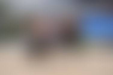 Aachen: Sieg für Dante's Pearl