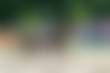 Rastede: Juwel gewinnt Bronze 