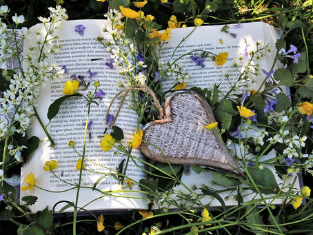 Ashleigh's YA Spring Picks