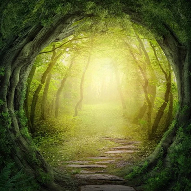 Natures Wisdom- Summer Solstice