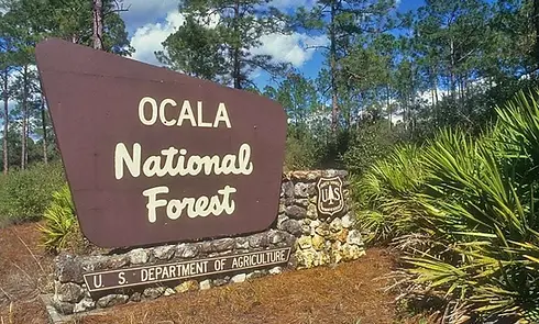 Sustainable Auto, Sustainable Automotive, Carbon Offsets for Dealerships, Eco-Friendly Car Dealership Solutions, Reduce Vehicle Emissions, Why is sustainability important for automotive, how do car dealerships reduce carbon emissions, best carbon offset programs for car dealerships, eco-friendly cars vs. traditional cars environmental impact, what are carbon offsets for cars, net-zero strategies for automotive businesses, how do dealerships go green, green energy solutions for automotive industry, how to make a car dealership carbon neutral, what does sustainability mean for auto sales, how to calculate a car’s carbon footprint, EV sustainability vs. gas-powered vehicles, why offsetting car emissions matters, sustainable dealership best practices, hybrid & electric vehicle sustainability efforts, how car emissions impact climate change, green transportation policies for dealerships, carbon footprint of gasoline vs. electric cars, environmental impact of selling cars, what is the future