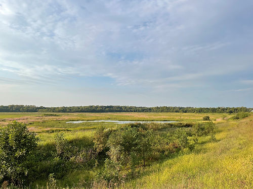 Large restored wetland
