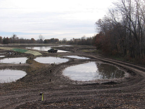 Newly constructed wetland pools
