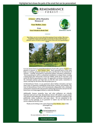 Example Customized Email