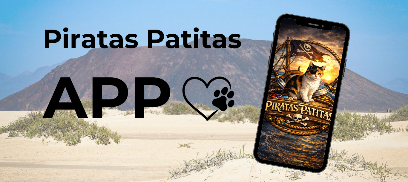 Design ohne Titel (21).png