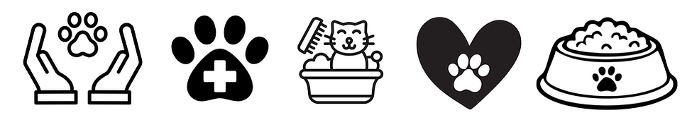 Design ohne Titel (22).png