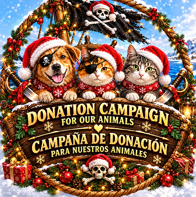 Weihnachtliche Piratencrew für Tiere (1).png