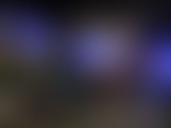 PKW gegen Gartenzaun