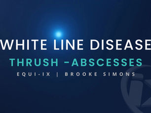 White Line Disease, Thrush, and Abscesses in Horses