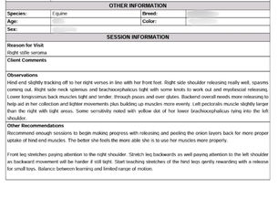 Reports for Equine Healthcare Professionals