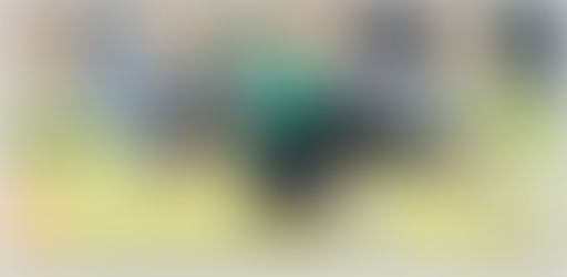 Pirates take down Carlton-Wrenshall