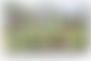 Tri-County Health Care hosts final brick ceremony