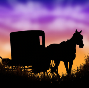 Two injured in buggy accident