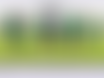 Football camp coached by Minnesota Viking and Verndale Alum