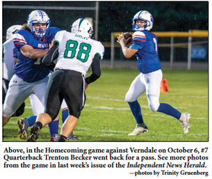 Bears lose on Homecoming but bounce back in spectacular fashion