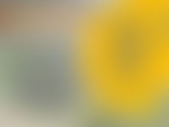 Gesucht: Gebäudewart/in (Einzelperson oder zu zweit)