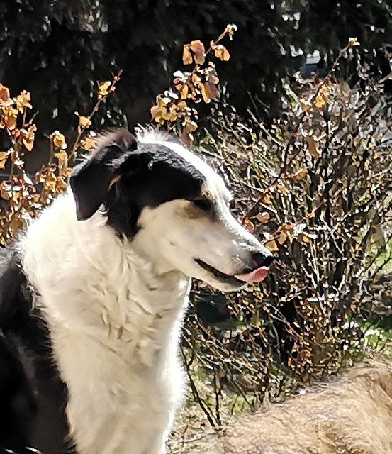 Screenshot_20210131_185303_com.android_e