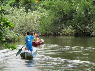 Escola Nacional de Saúde Pública (ENSP) abre inscrições para disciplina de inverno inspirada no OTSS