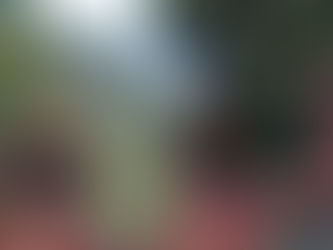 Oficina na Bocaina promove avaliação da Agenda 2030