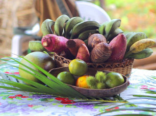 Agroecologia e solidariedade entre comunidades tradicionais no combate à COVID-19