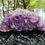Thumbnail: Amethyst Cluster