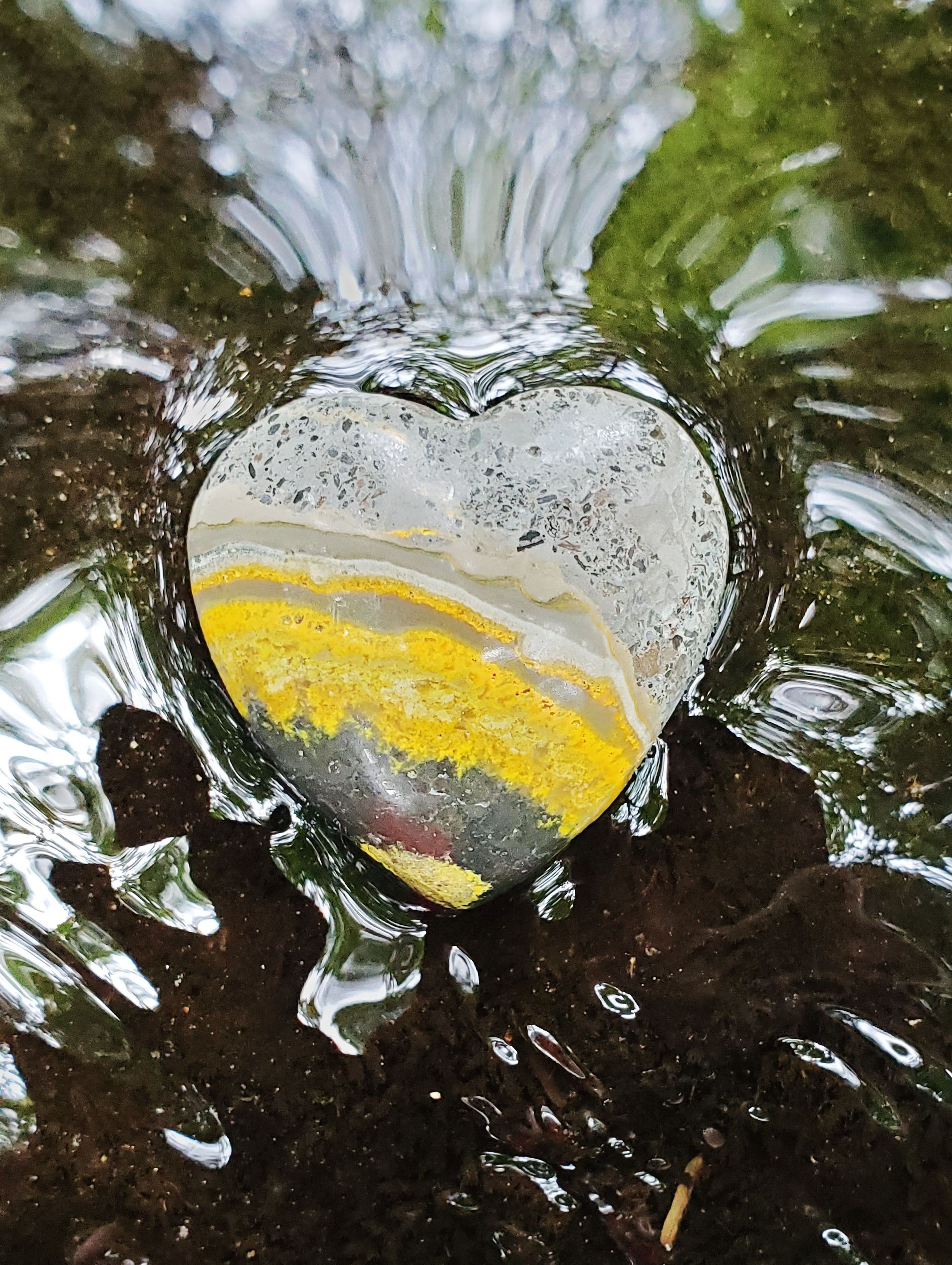 Bumblebee Jasper Heart