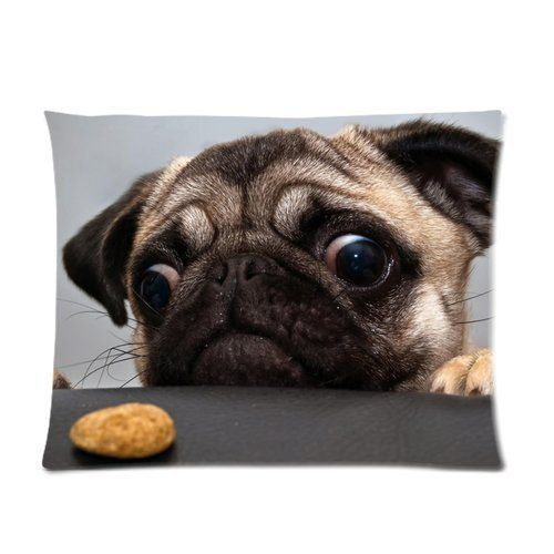 500 pts. A.R. Puggy Pillowcase