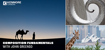Composition Fund_banner_1.png