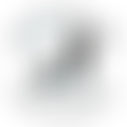 Pourquoi "Dog ta vie"? 