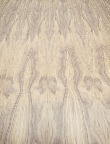 Catalog 2-15_edited.jpg