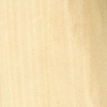 Yellow Poplar.jpg