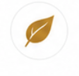Leaf.png