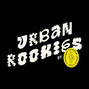 Constant vanden Stock