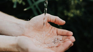 Water, More precious than Diamonds or Gold