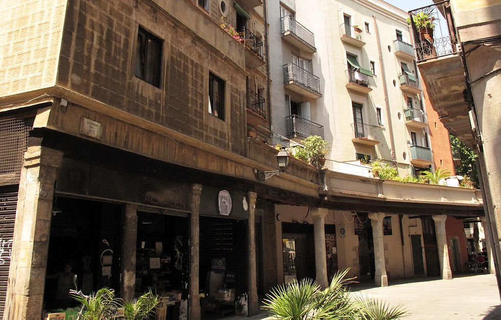 rec-carrer-porxos.jpg