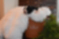 DSC_0050.JPG