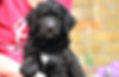 B57E5B80-8B63-410D-A39D-04CF07DE0C0D.jpeg
