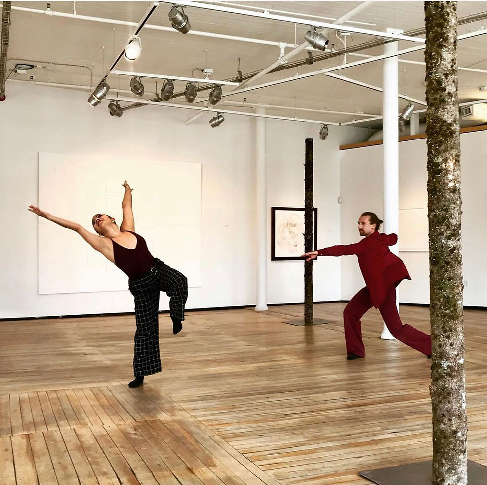 AVA Gallery Residency